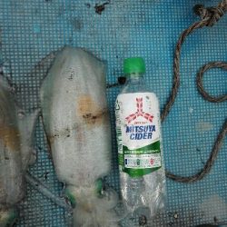 いっぱい釣れた〜