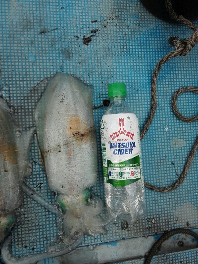 いっぱい釣れた〜