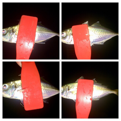 アジンガー1810〜2030