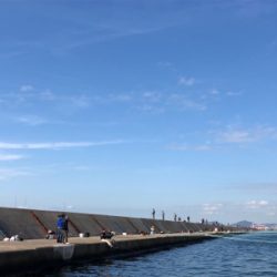 何とかサゴシ＋サバアジ爆釣！