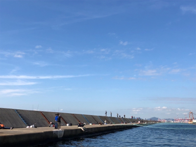 何とかサゴシ＋サバアジ爆釣！