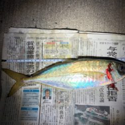 狙いの獲物!尺アジ