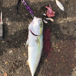 最近僕は絶好調！？