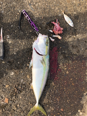 最近僕は絶好調！？