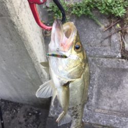 やっぱり小場所が一番!