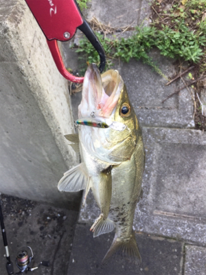 やっぱり小場所が一番!