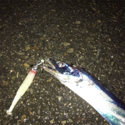 急に冷えたからか渋い