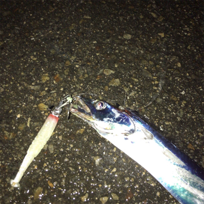 急に冷えたからか渋い