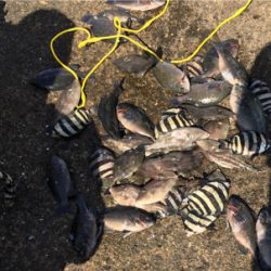 初の日本海沖堤防