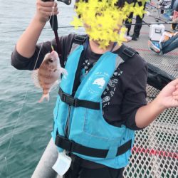 子供と一緒にとっとパーク小島