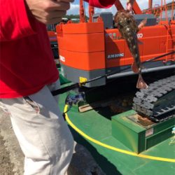 合津港で初釣り