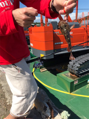 合津港で初釣り