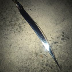 就寝前にタチウオ調査