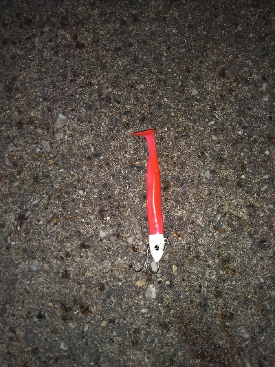 平日朝マズメでハマチ狙うもサゴシ