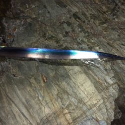 磯なのに太刀魚ゲーム