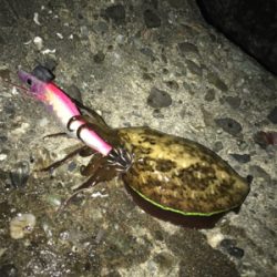 釣りメイカーのイベント