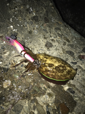 釣りメイカーのイベント