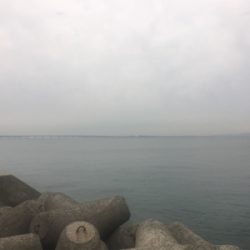 朝渋タチウオからのLSJ不発