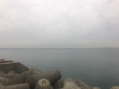 朝渋タチウオからのLSJ不発