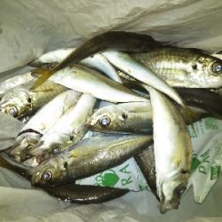 もうちょっと釣りたいよ〜