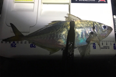 リフトでの高反応