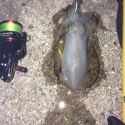 フジラッピさんと釣行！