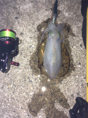 フジラッピさんと釣行！