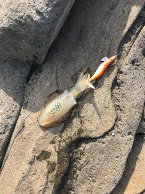 キロアップバラした原因