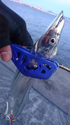 サビキとルアー