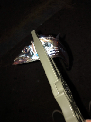 タチウオ2