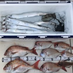 タチウオジギング  鯛ラバ