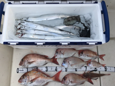 タチウオジギング  鯛ラバ