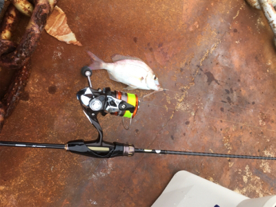 デイアジング!…のつもり