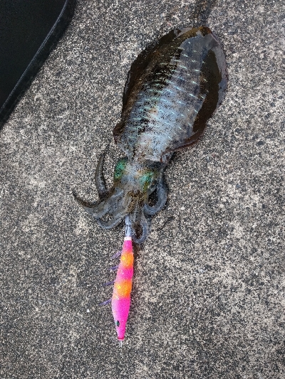 出たぁー！キロ超え！