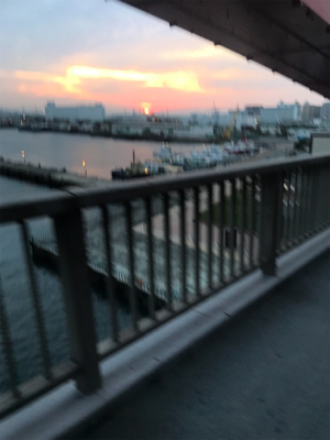 居残り太刀魚・あさだち