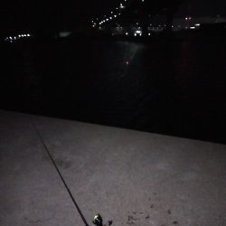 うきタチ、ワインドサバ