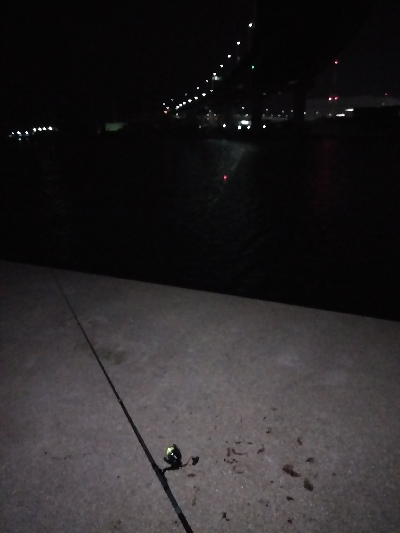 うきタチ、ワインドサバ