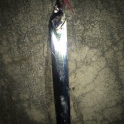 今夜もぼちぼちです‼︎