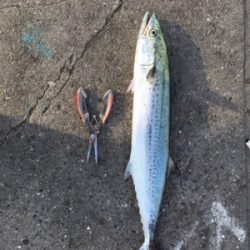 まさかのゲスト