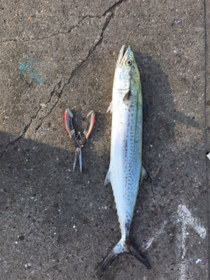 まさかのゲスト