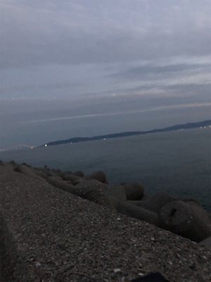 おかずの魚調達