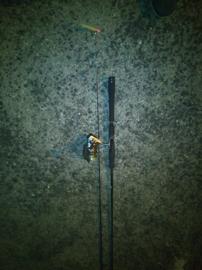 南港フェリー乗り場（本日ダブルヘッダー）