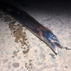 うねりがあったけど…