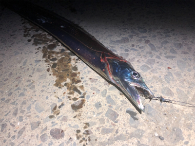 うねりがあったけど…