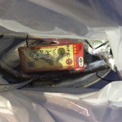 タッチポン陸にて…爆釣‼️