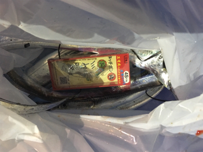 タッチポン陸にて…爆釣‼️