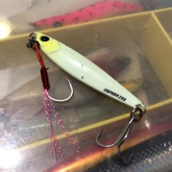 スロージギングでタチウオ!