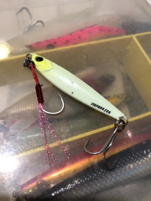 スロージギングでタチウオ!