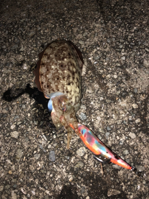 2週間連続 淡路島(^^)墨まみれ(泣)