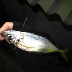 五目達成ライトゲーム